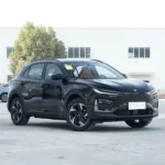 Neta X 500– Buy Direct From China | Premium Chinese EV Canada - Image 5